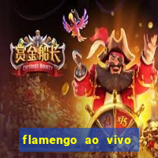 flamengo ao vivo hd play